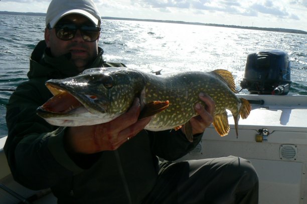 Shrap-Drakers.pl | Shrap Drakers Fishing | Wędkarstwo 