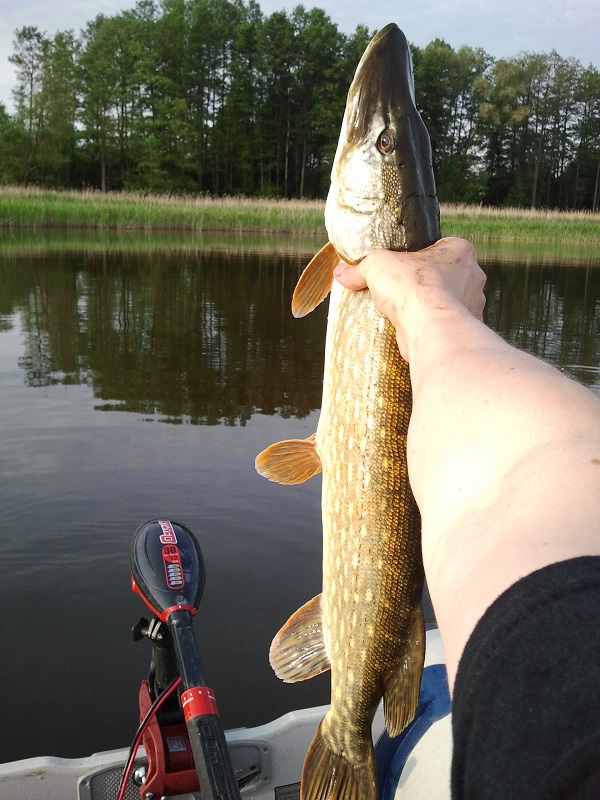 Skandynawskie eldorado na Mazurach