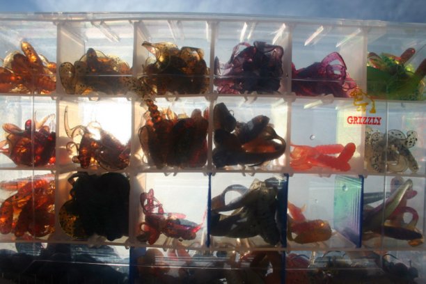 Shrap-Drakers.pl | Shrap Drakers Fishing | Wędkarstwo 