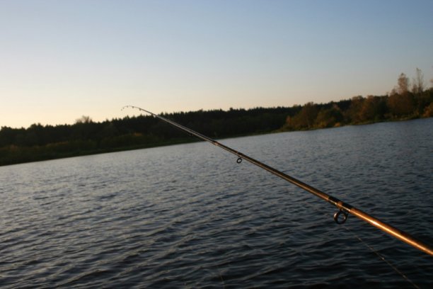 Shrap-Drakers.pl | Shrap Drakers Fishing | Wędkarstwo 