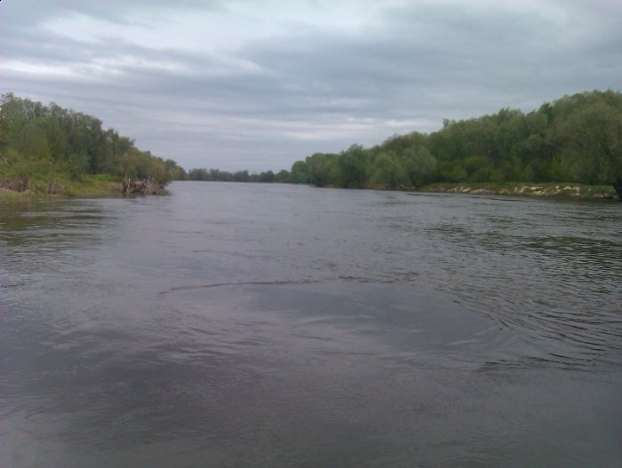 Shrap-Drakers.pl | Shrap Drakers Fishing | Wędkarstwo 