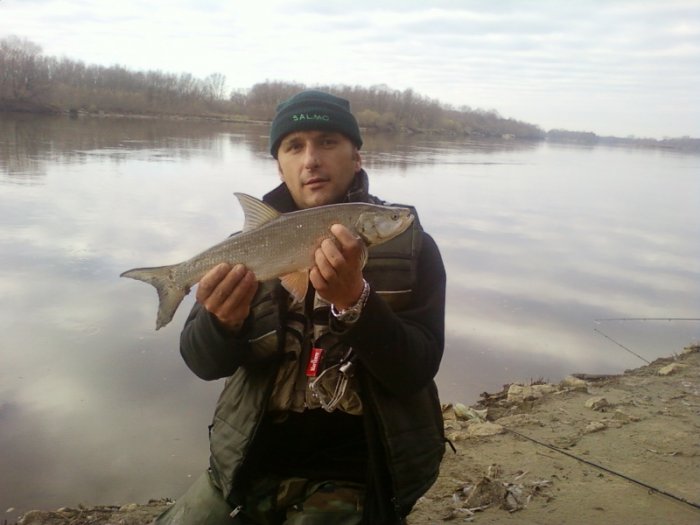 Shrap-Drakers.pl | Shrap Drakers Fishing | Wędkarstwo 