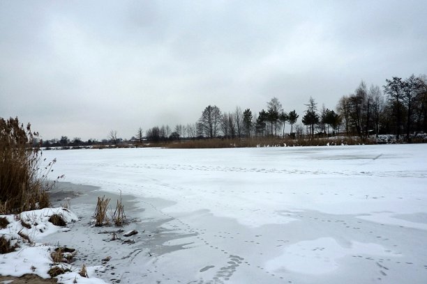 Shrap-Drakers.pl | Shrap Drakers Fishing | Wędkarstwo 