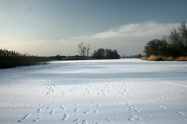 Shrap-Drakers.pl | Shrap Drakers Fishing | Wędkarstwo 