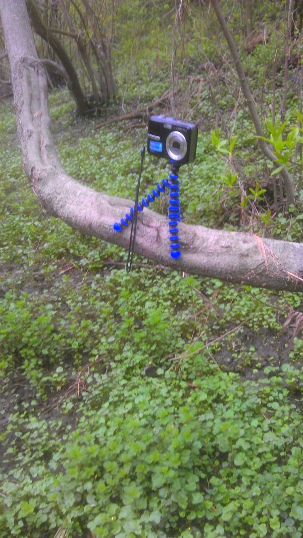 Shrap-Drakers.pl | Shrap Drakers Fishing | Wędkarstwo 