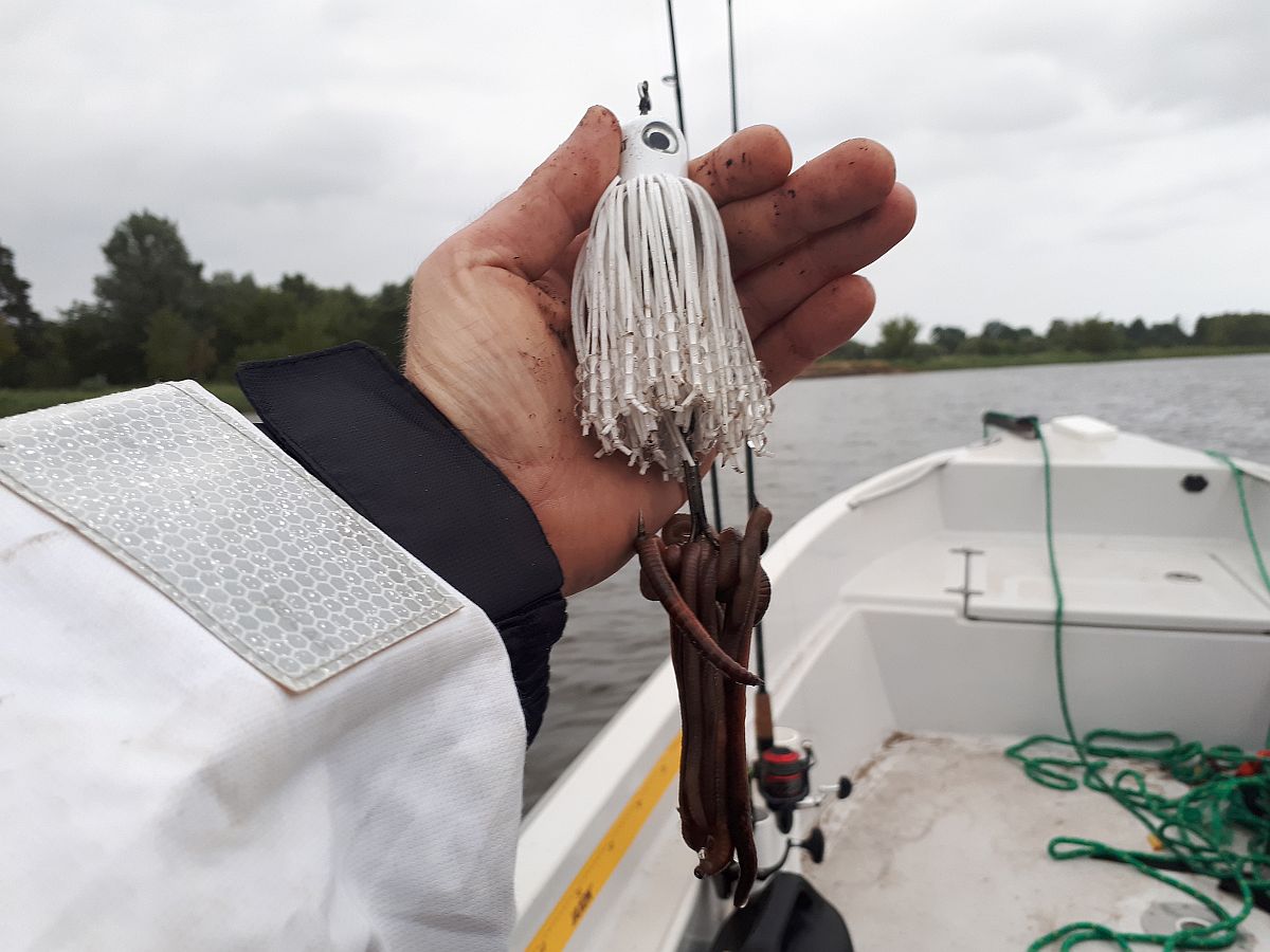 Shrap-Drakers.pl | Shrap Drakers Fishing | Wędkarstwo 