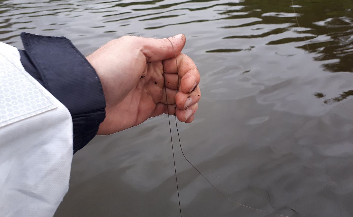 Shrap-Drakers.pl | Shrap Drakers Fishing | Wędkarstwo 