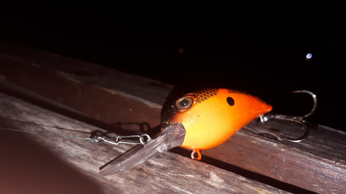 Shrap-Drakers.pl | Shrap Drakers Fishing | Wędkarstwo 