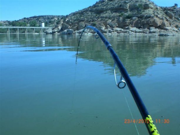 Shrap-Drakers.pl | Shrap Drakers Fishing | Wędkarstwo 