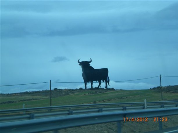 Shrap-Drakers.pl | Shrap Drakers Fishing | Wędkarstwo 