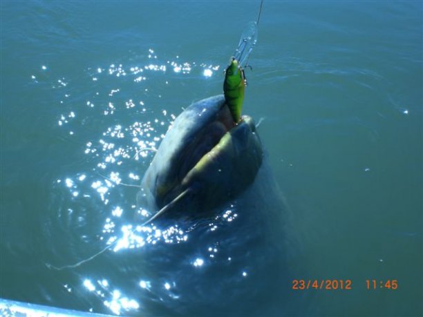 Shrap-Drakers.pl | Shrap Drakers Fishing | Wędkarstwo 