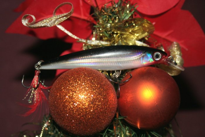 Shrap-Drakers.pl | Shrap Drakers Fishing | Wędkarstwo 