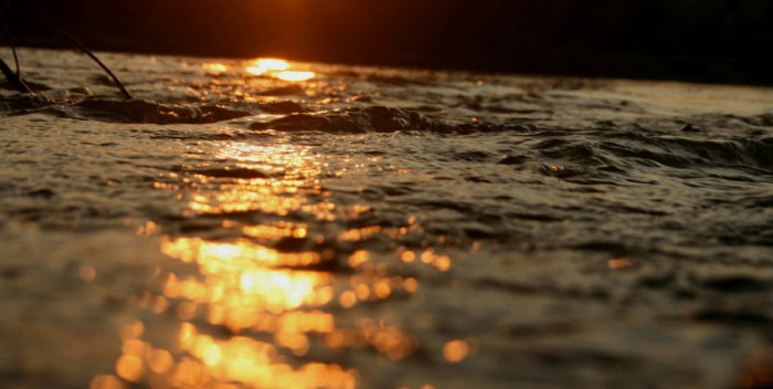 Shrap-Drakers.pl | Shrap Drakers Fishing | Wędkarstwo 