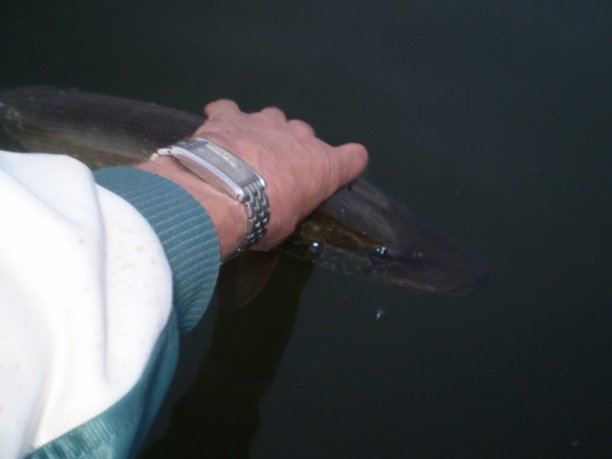 Shrap-Drakers.pl | Shrap Drakers Fishing | Wędkarstwo 