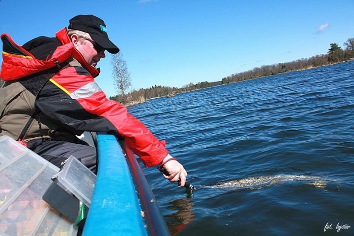 Shrap-Drakers.pl | Shrap Drakers Fishing | Wędkarstwo 