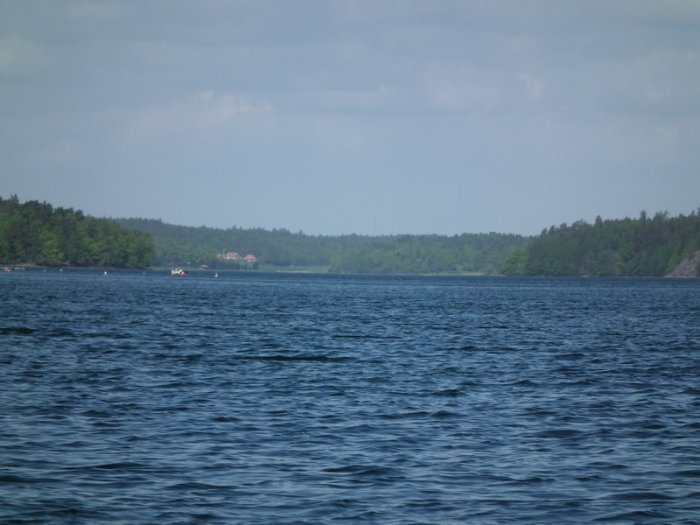 Shrap-Drakers.pl | Shrap Drakers Fishing | Wędkarstwo 