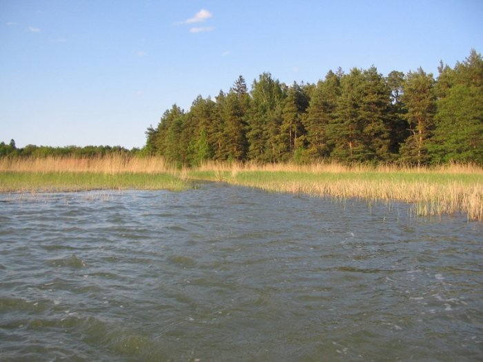 Shrap-Drakers.pl | Shrap Drakers Fishing | Wędkarstwo 