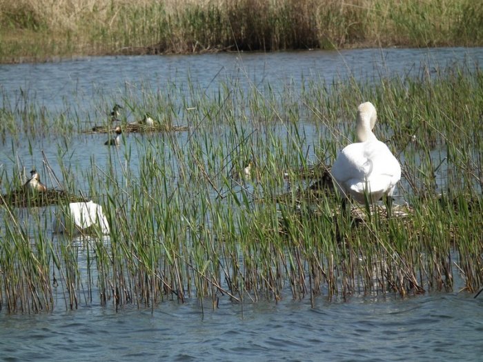 Shrap-Drakers.pl | Shrap Drakers Fishing | Wędkarstwo 