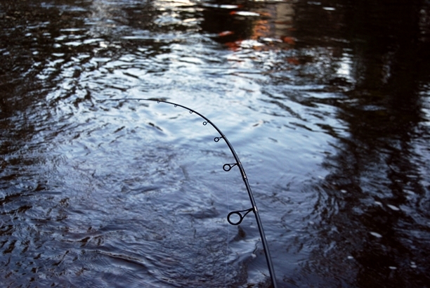 Shrap-Drakers.pl | Shrap Drakers Fishing | Wędkarstwo 