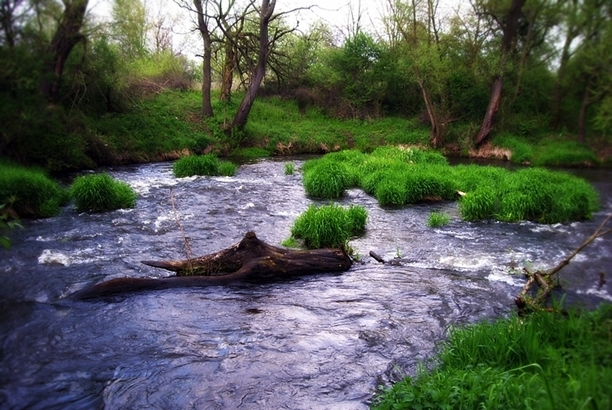 Shrap-Drakers.pl | Shrap Drakers Fishing | Wędkarstwo 