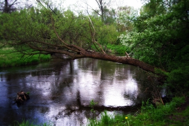 Shrap-Drakers.pl | Shrap Drakers Fishing | Wędkarstwo 