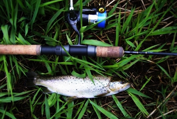 Shrap-Drakers.pl | Shrap Drakers Fishing | Wędkarstwo 