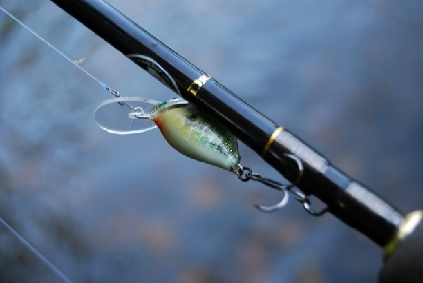 Shrap-Drakers.pl | Shrap Drakers Fishing | Wędkarstwo 