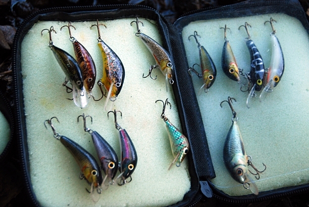 Shrap-Drakers.pl | Shrap Drakers Fishing | Wędkarstwo 