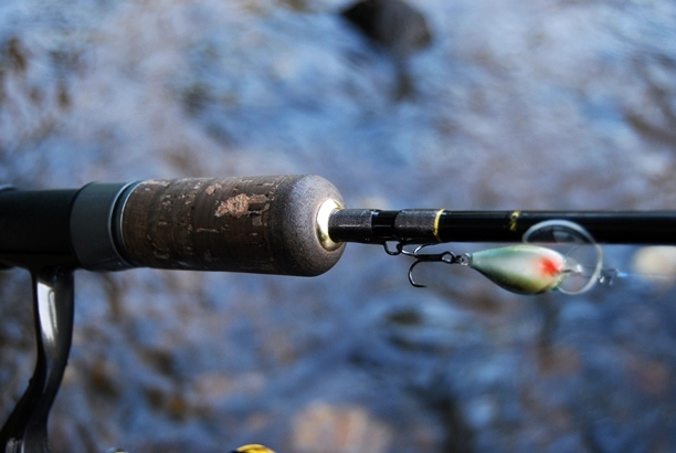 Shrap-Drakers.pl | Shrap Drakers Fishing | Wędkarstwo 