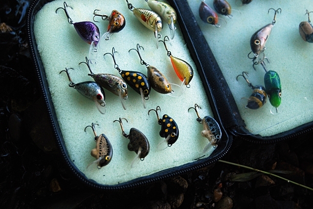 Shrap-Drakers.pl | Shrap Drakers Fishing | Wędkarstwo 