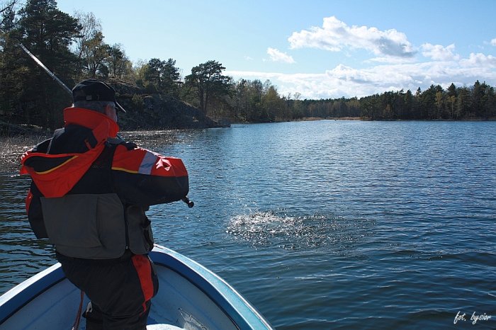 Shrap-Drakers.pl | Shrap Drakers Fishing | Wędkarstwo 