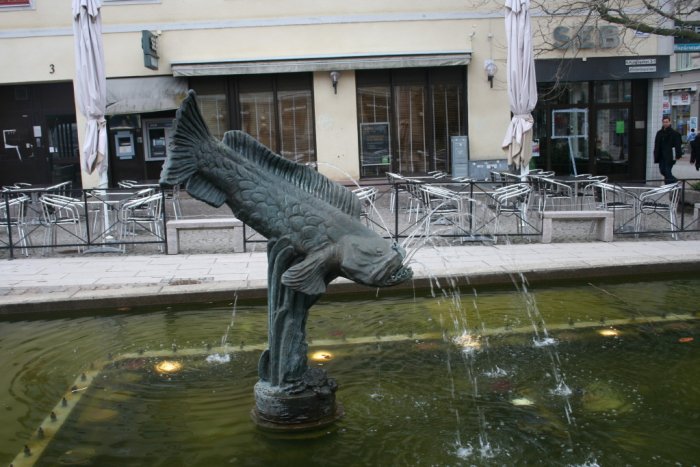 Shrap-Drakers.pl | Shrap Drakers Fishing | Wędkarstwo 