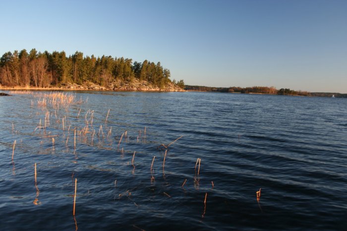 Shrap-Drakers.pl | Shrap Drakers Fishing | Wędkarstwo 