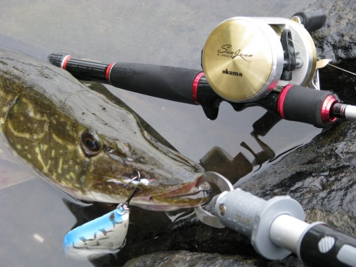 Shrap-Drakers.pl | Shrap Drakers Fishing | Wędkarstwo 