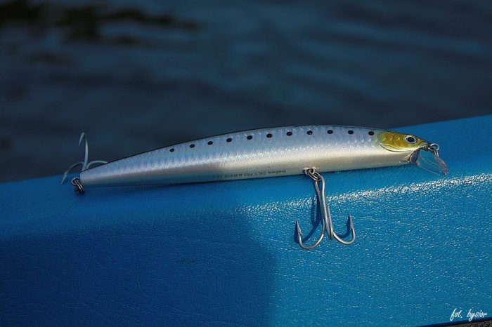 Shrap-Drakers.pl | Shrap Drakers Fishing | Wędkarstwo 