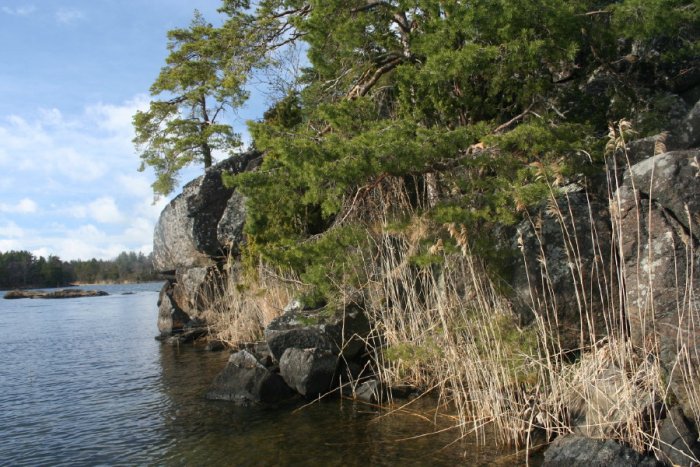 Shrap-Drakers.pl | Shrap Drakers Fishing | Wędkarstwo 