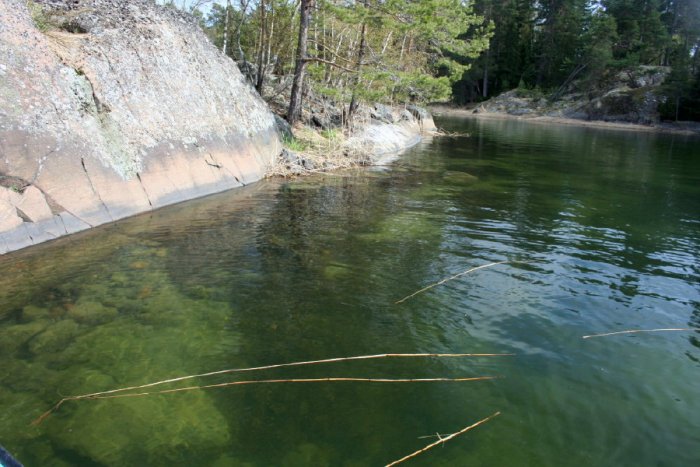 Shrap-Drakers.pl | Shrap Drakers Fishing | Wędkarstwo 