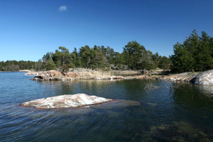 Shrap-Drakers.pl | Shrap Drakers Fishing | Wędkarstwo 