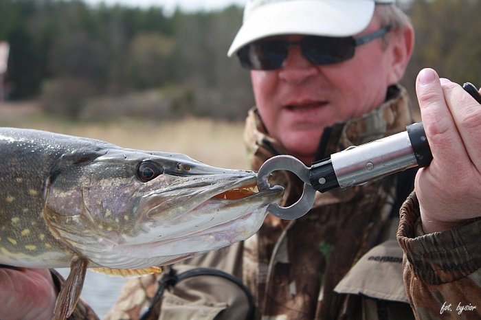 Shrap-Drakers.pl | Shrap Drakers Fishing | Wędkarstwo 