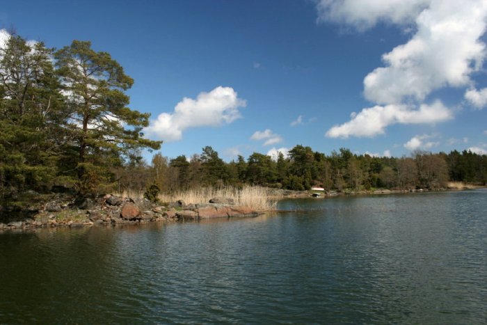 Shrap-Drakers.pl | Shrap Drakers Fishing | Wędkarstwo 