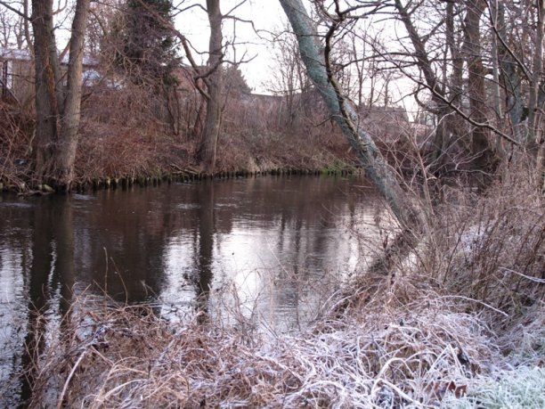 Shrap-Drakers.pl | Shrap Drakers Fishing | Wędkarstwo 