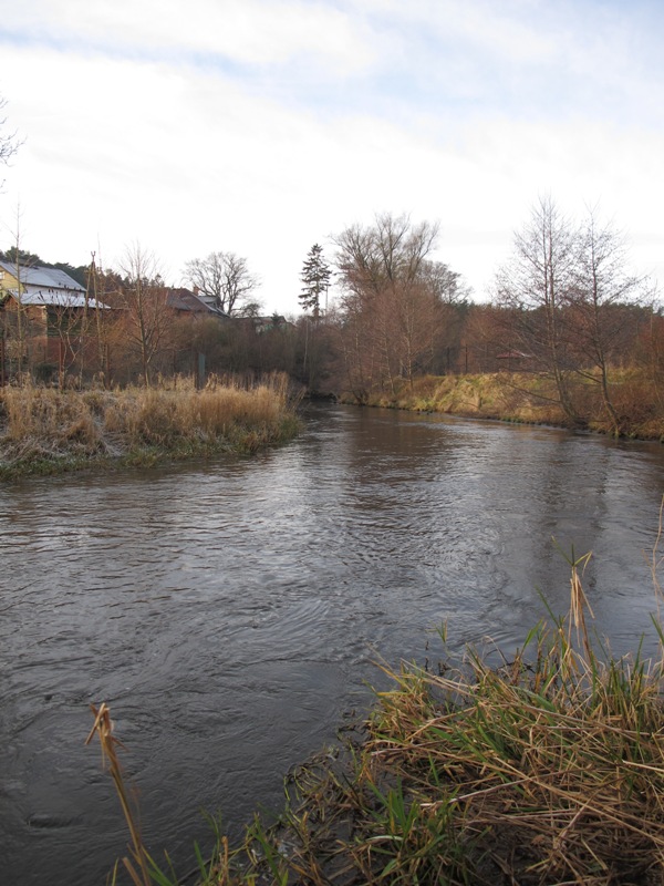 Shrap-Drakers.pl | Shrap Drakers Fishing | Wędkarstwo 