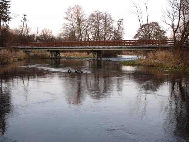 Shrap-Drakers.pl | Shrap Drakers Fishing | Wędkarstwo 