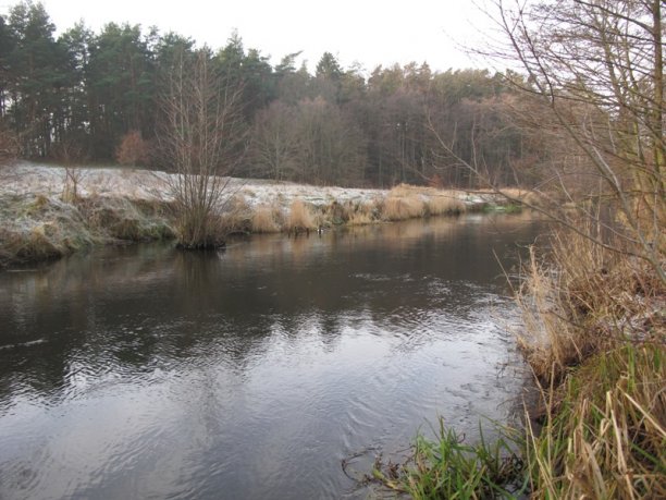 Shrap-Drakers.pl | Shrap Drakers Fishing | Wędkarstwo 