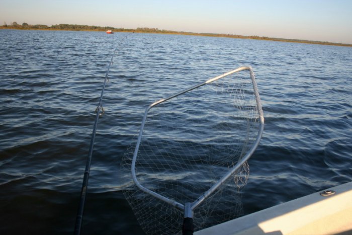 Shrap-Drakers.pl | Shrap Drakers Fishing | Wędkarstwo 