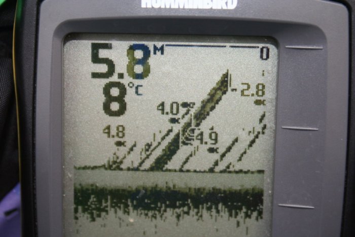 Shrap-Drakers.pl | Shrap Drakers Fishing | Wędkarstwo 