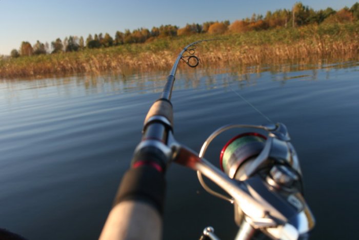 Shrap-Drakers.pl | Shrap Drakers Fishing | Wędkarstwo 