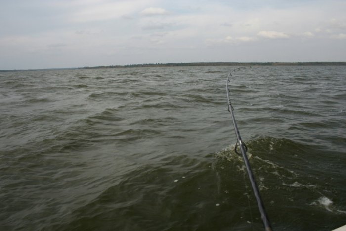 Shrap-Drakers.pl | Shrap Drakers Fishing | Wędkarstwo 