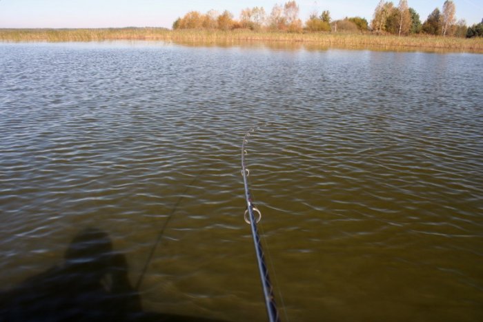 Shrap-Drakers.pl | Shrap Drakers Fishing | Wędkarstwo 