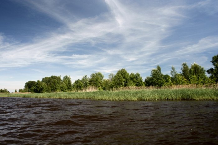 Shrap-Drakers.pl | Shrap Drakers Fishing | Wędkarstwo 